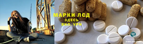 прущие грибы Мегион