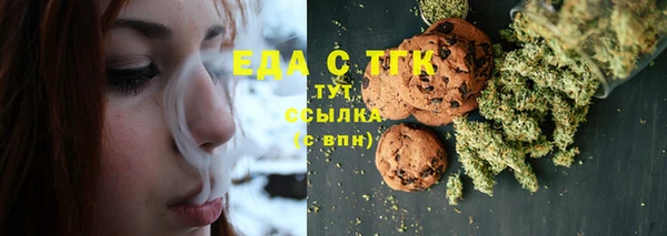 индика Березники