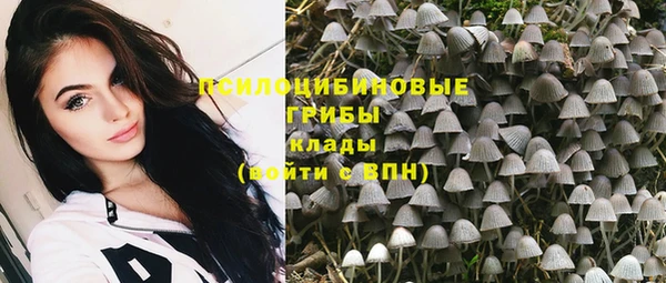 прущие грибы Мегион
