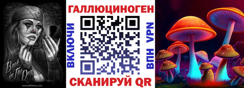 Галлюциногенные грибы Psilocybine cubensis как найти закладки Новая Усмань